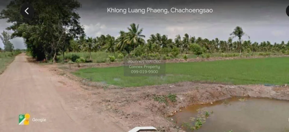 ขายที่ดิน 14-1-86ไร่ ใกล้ลาดกระบัง-สุวรรณภูมิ อ.เมืองฉะเชิงเทรา ฉ 3