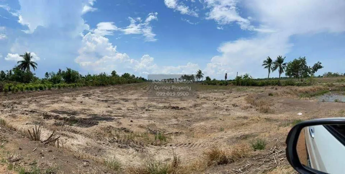 ขายที่ดิน 14-1-86ไร่ ใกล้ลาดกระบัง-สุวรรณภูมิ อ.เมืองฉะเชิงเทรา ฉ 4