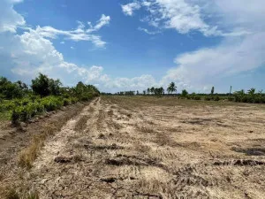 For Sale Land : 14-1-86 Rai – Near Lat Krabang & Suvarnabhumi , Mueang Chachoengsao , Chachoengsao , CX-138456