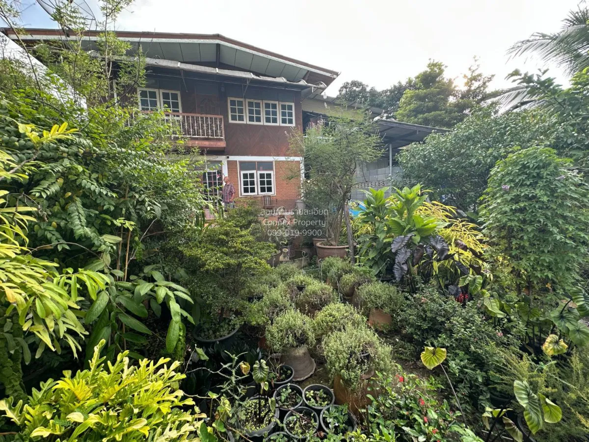 ขายบ้านเดี่ยว 2 ชั้น 5-0-40 ไร่ บางกรวย - ไทรน้อย นนทบุรี บางกร่า 2