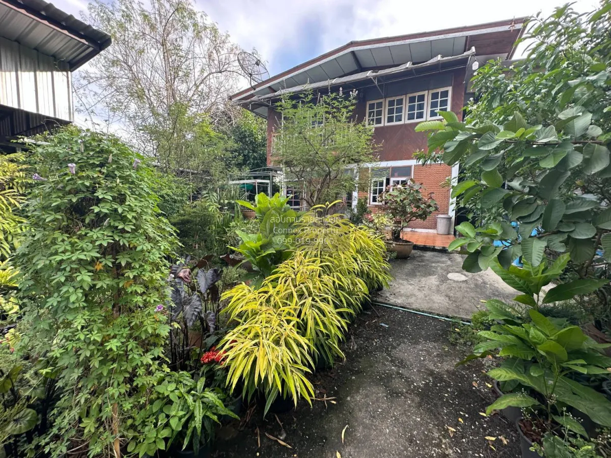 ขายบ้านเดี่ยว 2 ชั้น 5-0-40 ไร่ บางกรวย - ไทรน้อย นนทบุรี บางกร่า 3