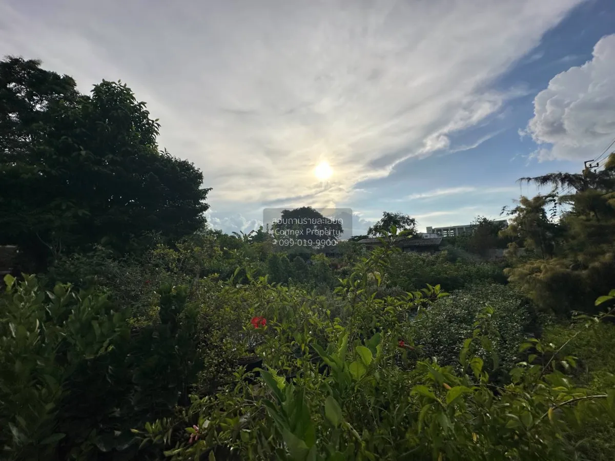 ขายบ้านเดี่ยว 2 ชั้น 5-0-40 ไร่ บางกรวย - ไทรน้อย นนทบุรี บางกร่า