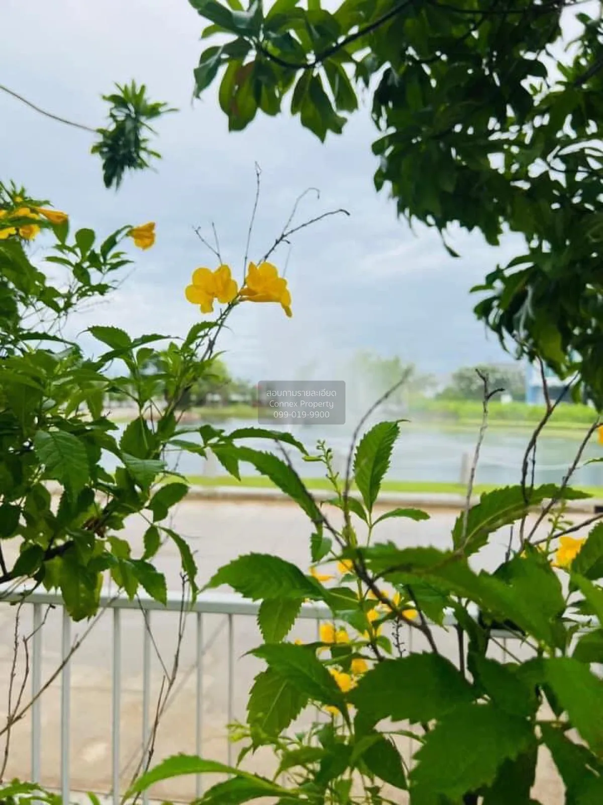 เช่าบ้าน  วิลลาจจิโอ บางนา วิวสวย บางบ่อ บางบ่อ สมุทรปราการ CX-13