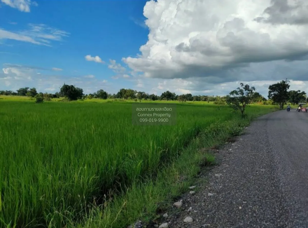 For Sale Large land plot: 21-0-71.7 Rai, Dan Khun Thot District,  3