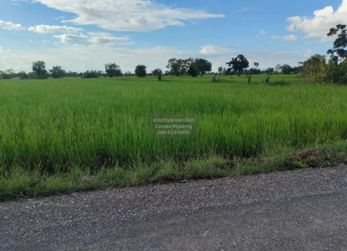 For Sale Large land plot: 21-0-71.7 Rai, Dan Khun Thot District,  4