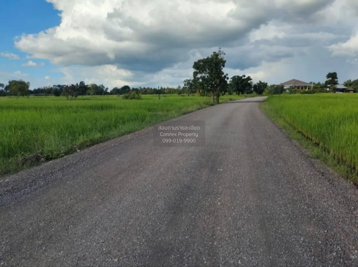 For Sale Large land plot: 21-0-71.7 Rai, Dan Khun Thot District, 