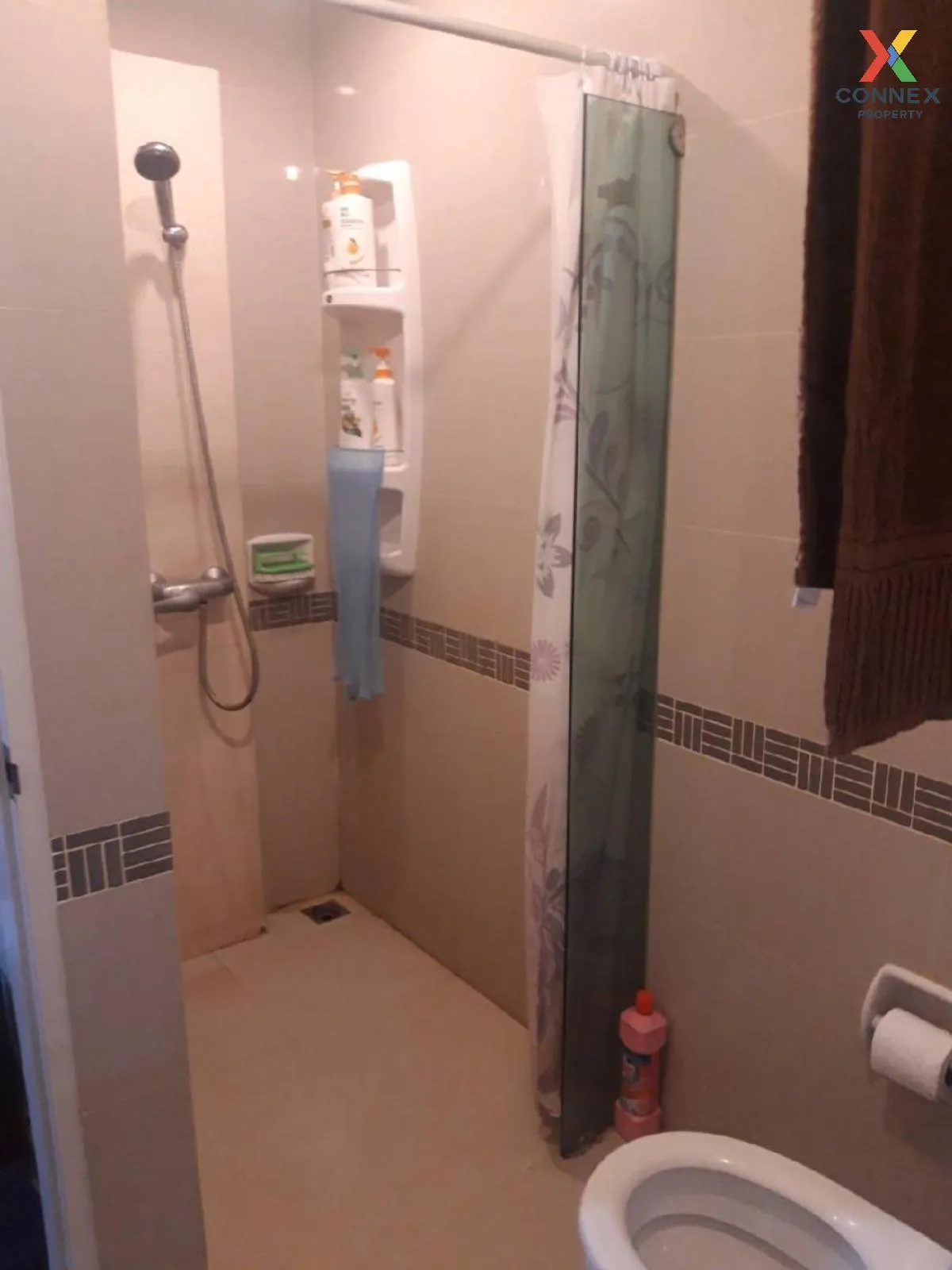 เช่าคอนโด  เดอะ เน็กซ์ สุขุมวิท 52 BTS-อ่อนนุช บางจาก เขต พระโขนง