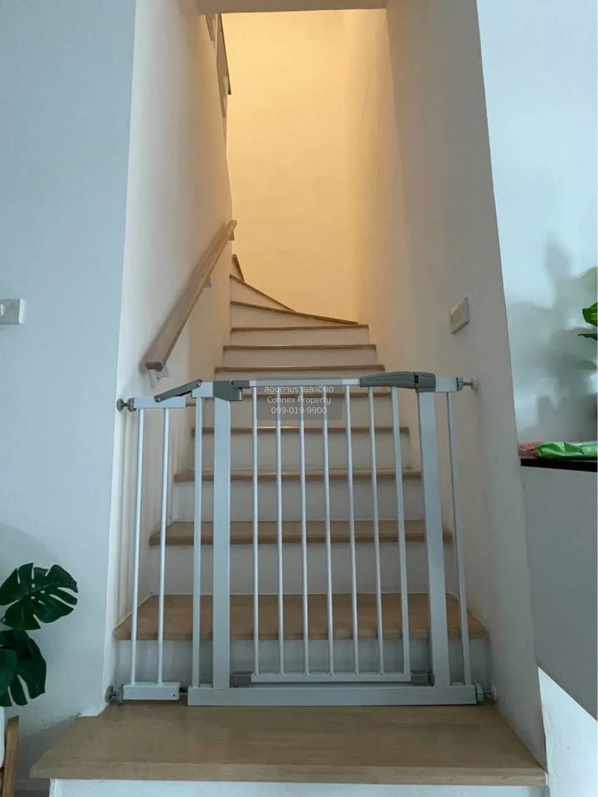 ขายทาวน์เฮาส์ 2 ชั้น ปทุมธานี-ลาดหลุมแก้ว หน้ากว้าง ลาดหลุมแก้ว ล 1