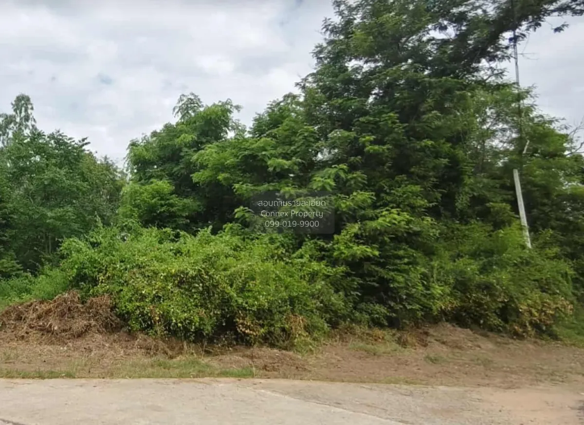 For Sale Vacant land in Non Sung District, Nakhon Ratchasima ,  C 3