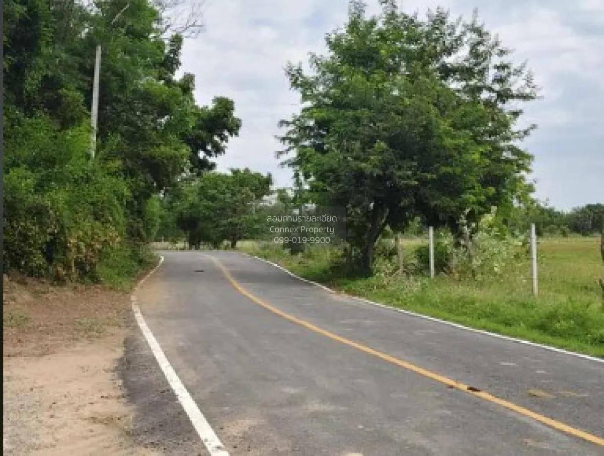For Sale Vacant land in Non Sung District, Nakhon Ratchasima ,  C 4