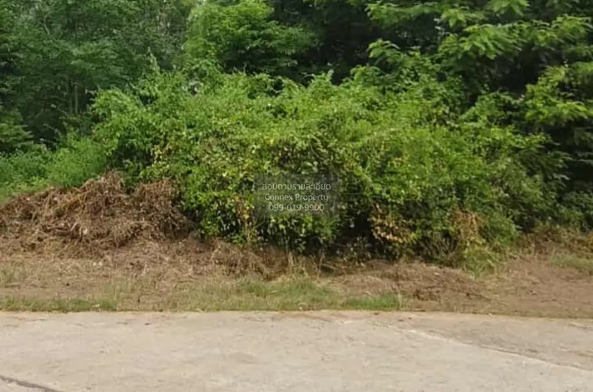 For Sale Vacant land in Non Sung District, Nakhon Ratchasima ,  C