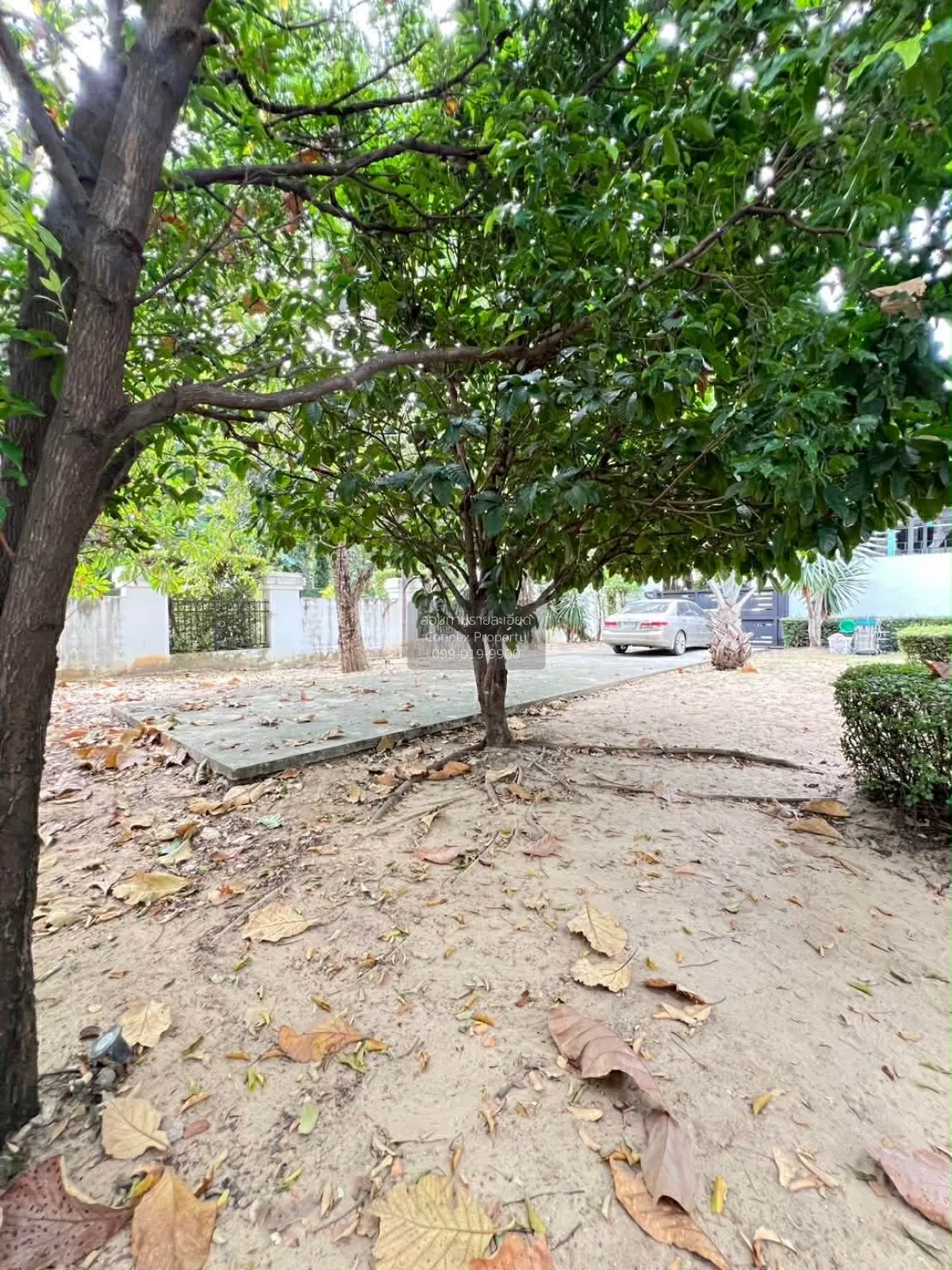 ขายบ้านเดี่ยว กาญจนาภิเษก หน้ากว้าง บางระมาด เขต ตลิ่งชัน กรุงเทพ