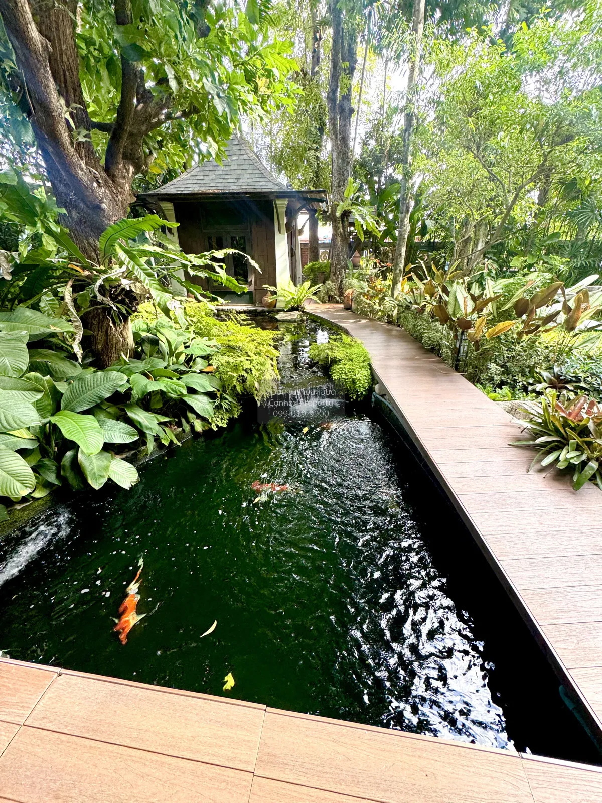 ขายบ้าน  วรารมย์ เพชรเกษม 81 ห้องมุม บางบอน เขต บางบอน กรุงเทพ CX