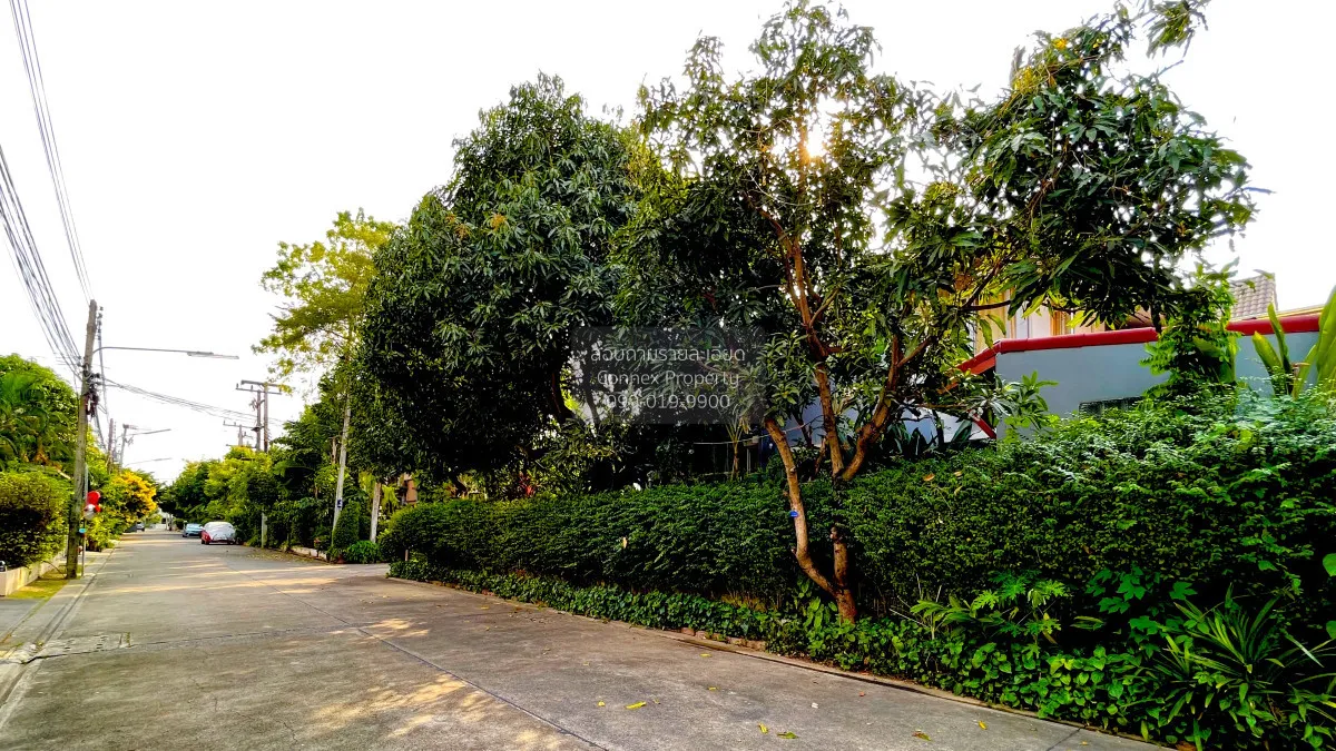 ขายบ้าน  โฮมเพลส รังสิต วิวสวย ห้องมุม บางพูน เมืองปทุมธานี ปทุมธ