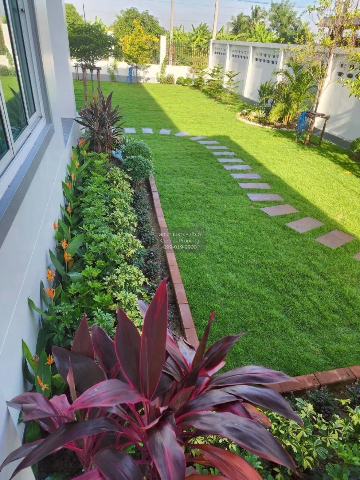 For Sale House Salaya , Sala Ya , Phutthamonthon , Nakhon Pathom 