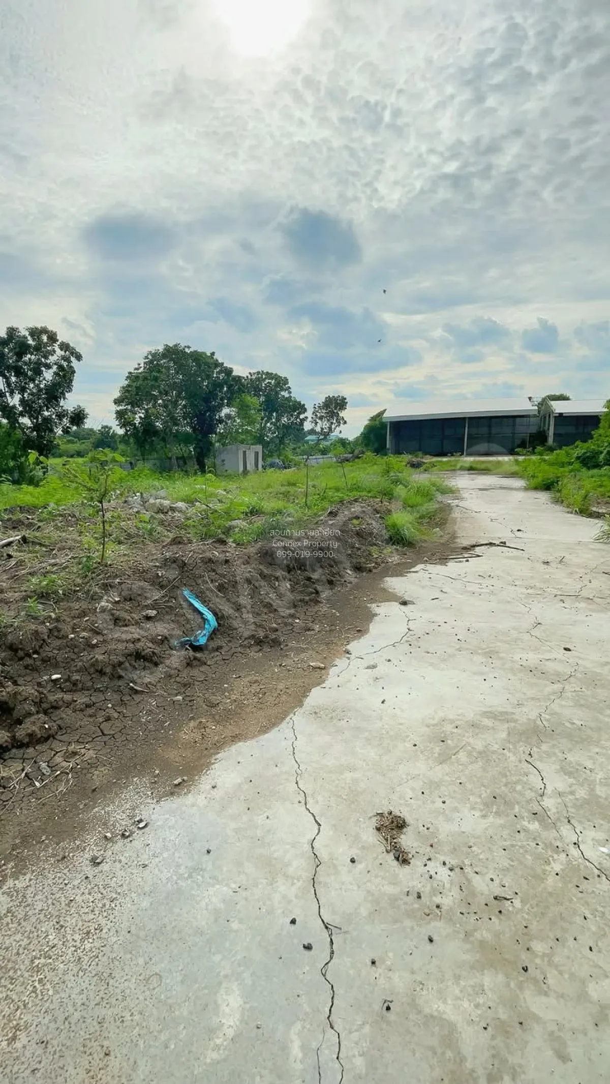 ขายที่ดินพร้อมสิ่งปลูกสร้าง ติดทางหลวง 3028 บางพึ่ง บ้านหมี่ ลพบุ 3