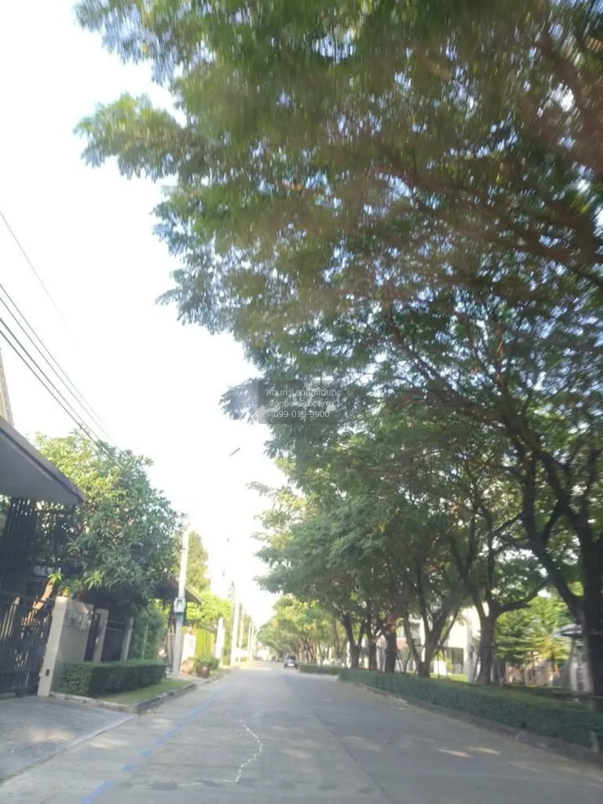 ขายบ้าน  บางกอกบูเลอวาร์ด แจ้งวัฒนะ 2 บางตะไนย์ ปากเกร็ด นนทบุรี  3