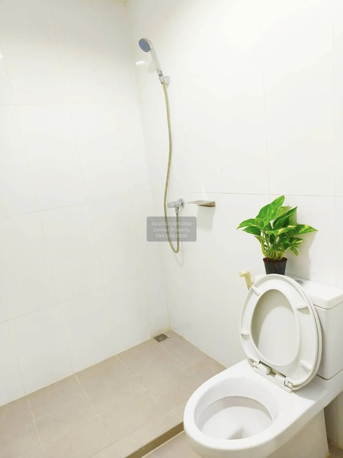 For Rent Condo , A Pool Condo Bangna , BTS-Bang Na , Bang Na , Ba