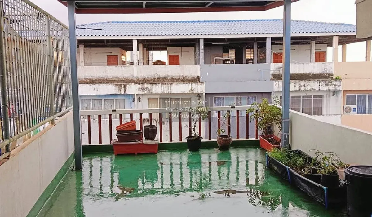 ขายอาคารพาณิชย์ตกแต่งใหม่ 4 ชั้นครึ่ง  บางจาก เขต พระโขนง กรุงเทพ