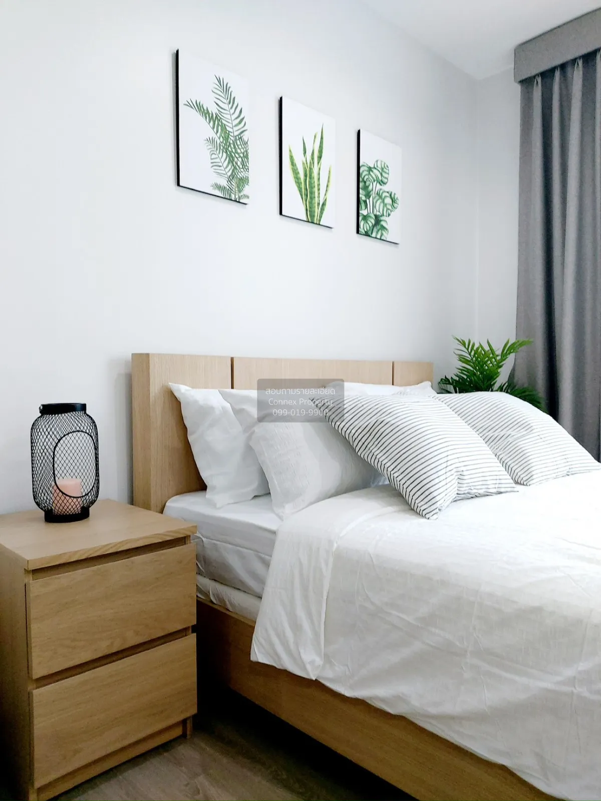 For Rent Condo , @ City Sukhumvit 101/1 , BTS-Punnawithi , Bang C