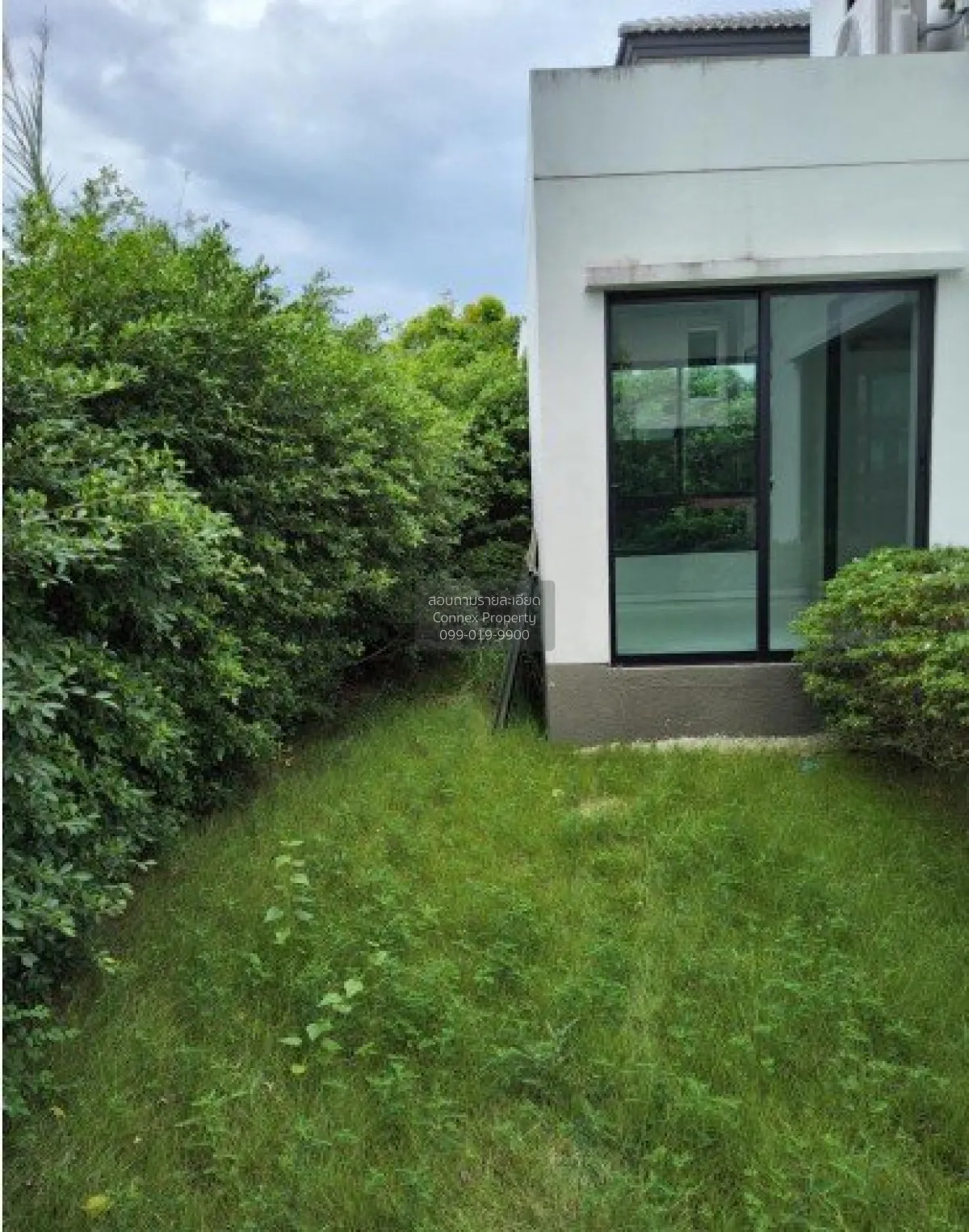 ขายบ้าน  คาซ่า วิลล์ บางใหญ่ บางแม่นาง บางใหญ่ นนทบุรี CX-141003