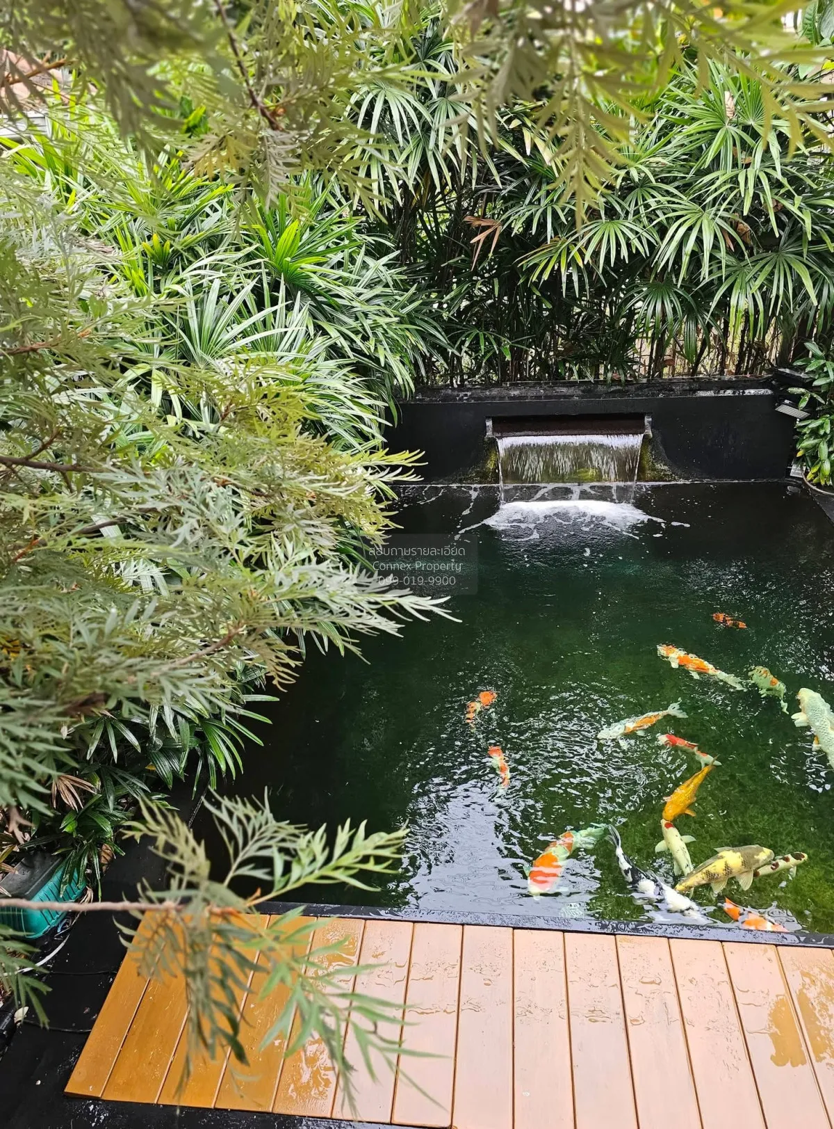 เช่าบ้าน  ศุภาลัย พาร์ควิลล์ รามอินทรา 5 หน้ากว้าง อนุสาวรีย์ เขต 2