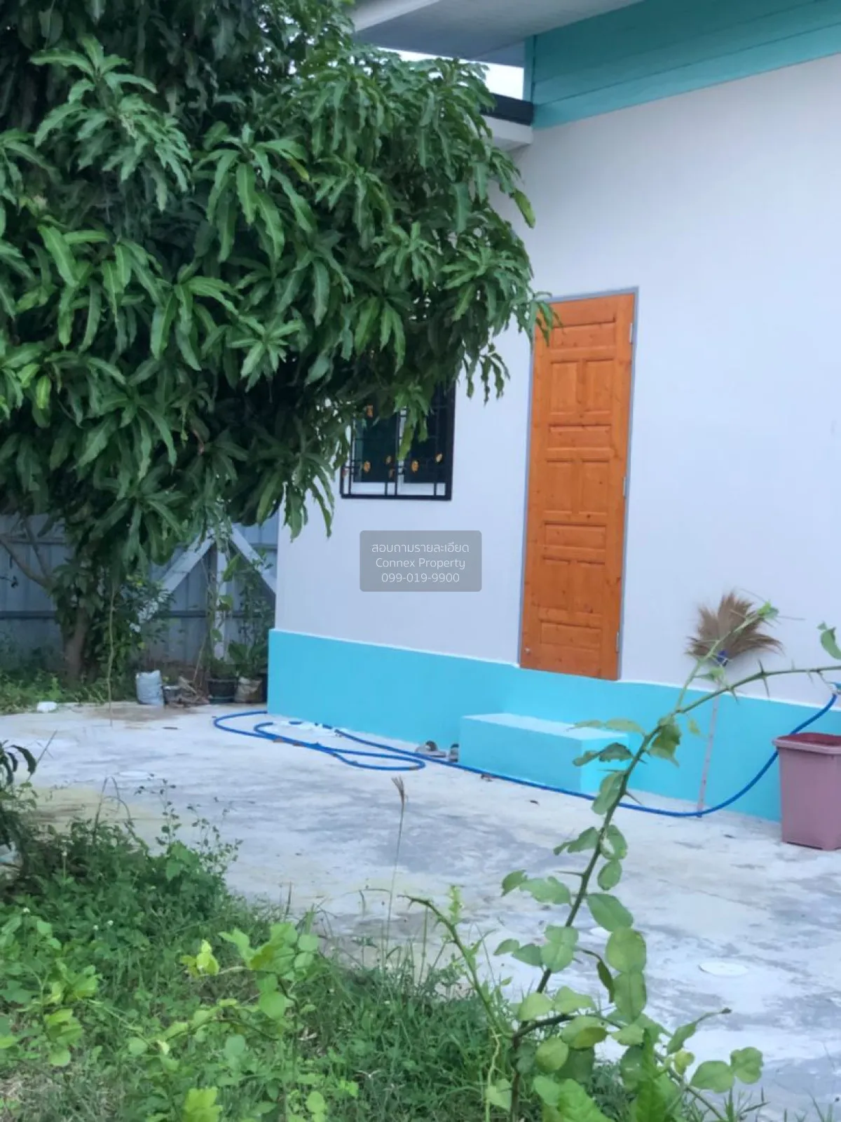 For Sale Single-detached house with 200 sq. wah of land in Nong Y