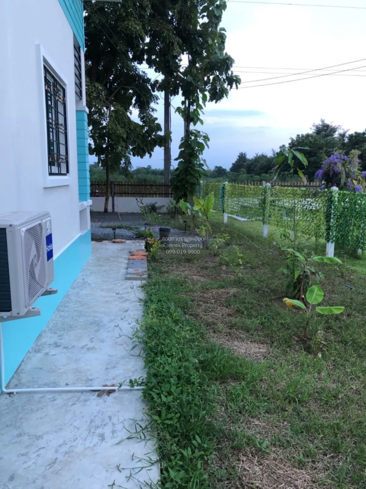 For Sale Single-detached house with 200 sq. wah of land in Nong Y