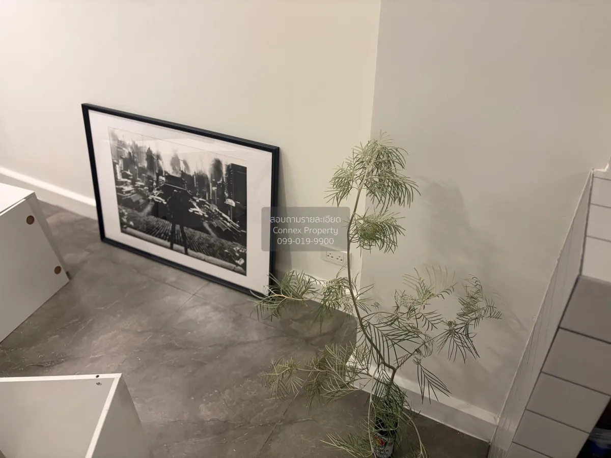 ขายทาวน์โฮม 2 ชั้น โชคชัย 4 ซอย 55 รีโนเวทใหม่ ลาดพร้าว เขต ลาดพร