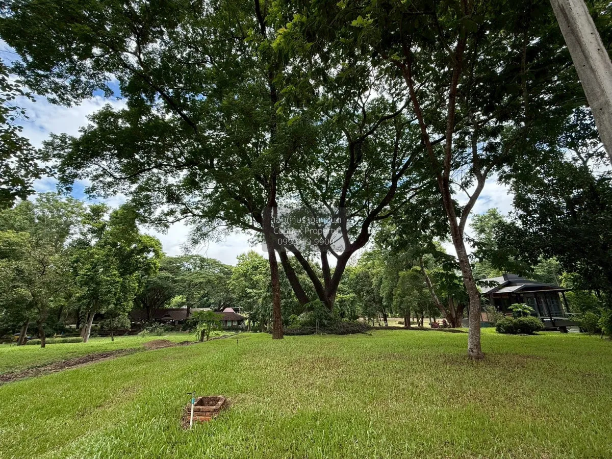 ขายที่ดิน 1 ไร่กว่า ที่แปลงสวยจังหวัดเชียงใหม่ วิวสวย ข่วงเปา จอม