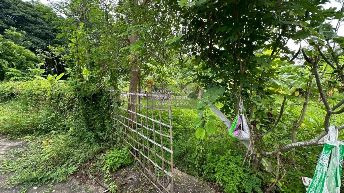 For Sale Land for sale , 417sqw chiang mai , nice view , Nong Phu 4