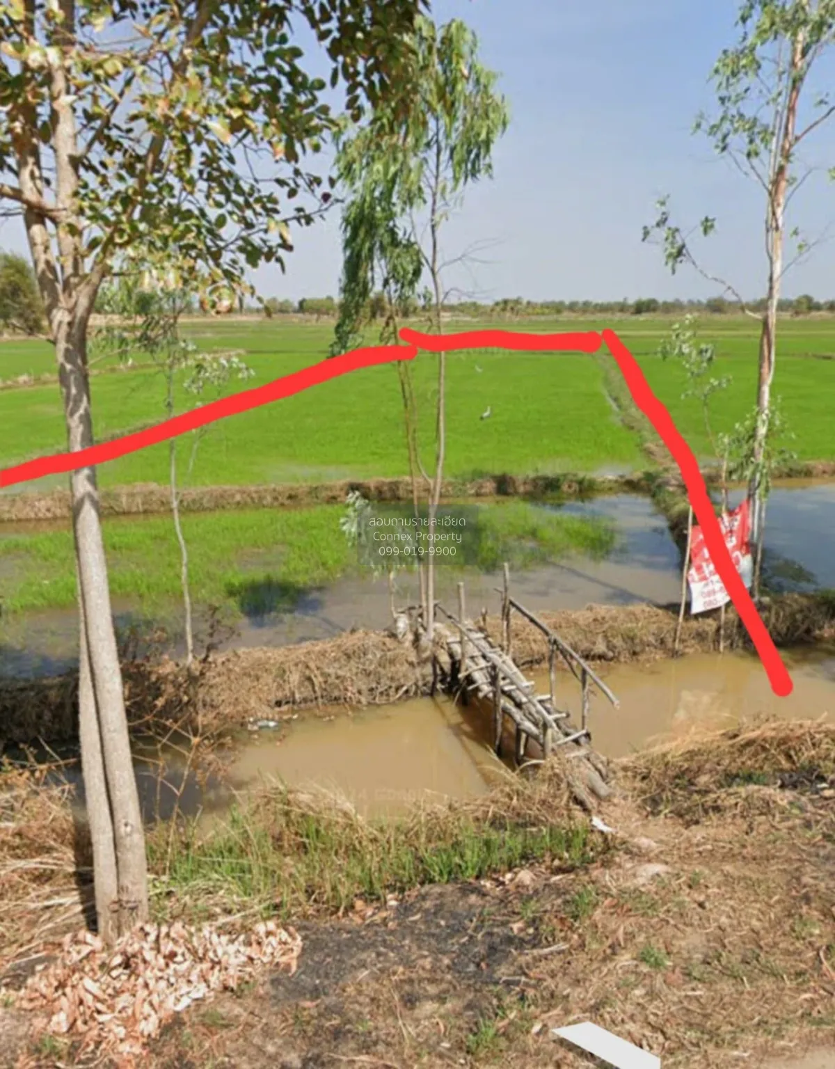 ขายที่ดิน สวย 1 ไร่ 3 งาน อ.เชียงขวัญ จ.ร้อยเอ็ด CX-141665 2