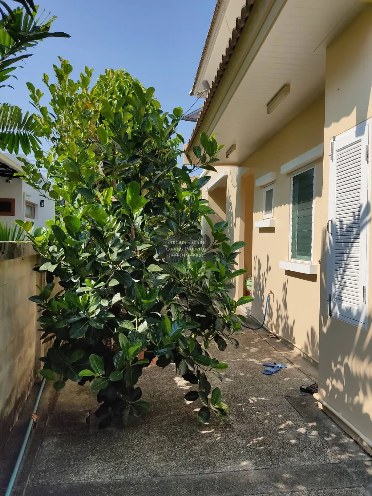 ขายบ้าน  เดอะ วอเตอร์ เฮ้าส์ กาญจนาภิเษก-พระราม 2 บางแค เขต บางแค