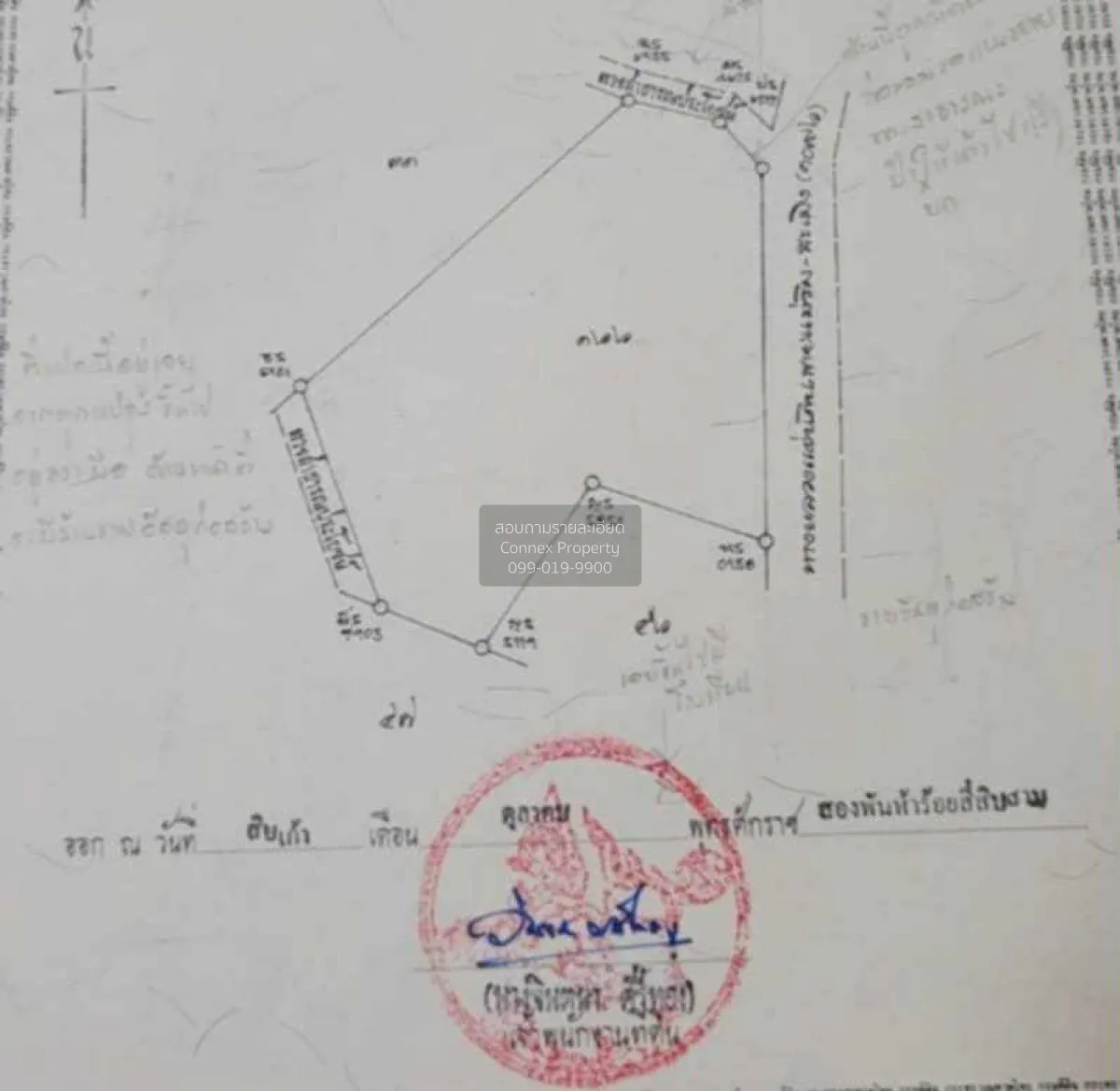 เช่าให้เช่าที่ดิน วิวดอย เนื้อที่ 2 ไร่ 2 งาน 35 ตร.วา อ.แม่ริม เ 1