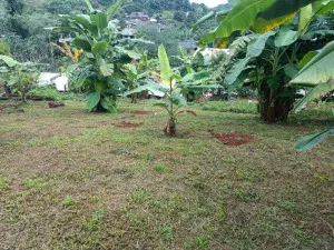 For Rent Land for Rent with Mountain Views – Mae Rim, Chiang Mai , CX-141731