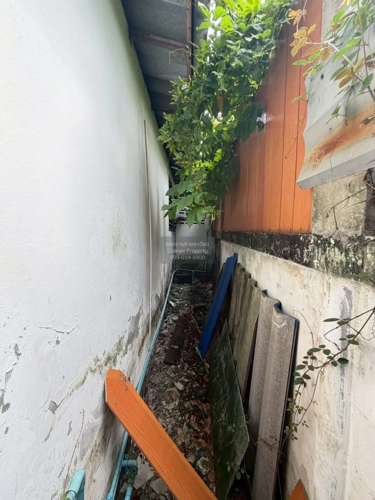 ขายบ้าน  บุษราคัม บางขุนเทียน - ชายทะเล แสมดำ เขต บางขุนเทียน กรุ