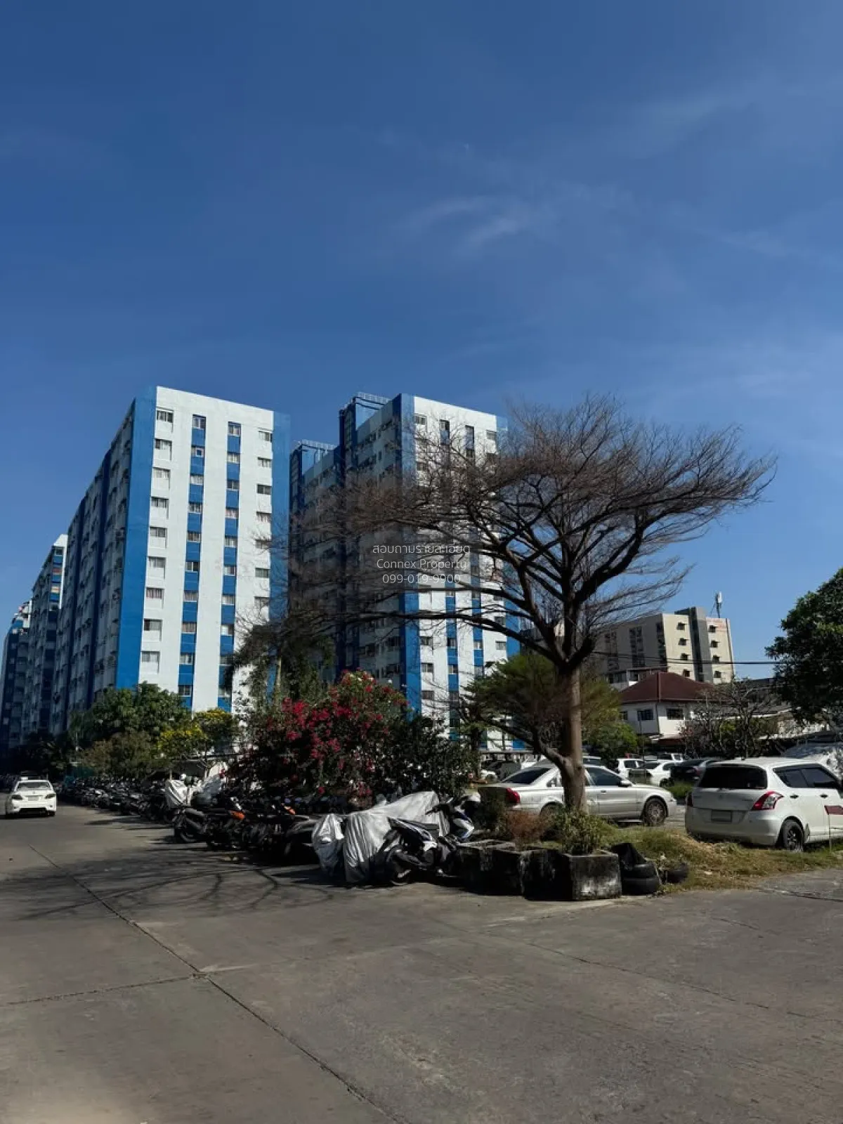 ขายคอนโด  สวัสดีกรุงเทพ คอนโด หนองบอน เขต ประเวศ กรุงเทพ CX-14229