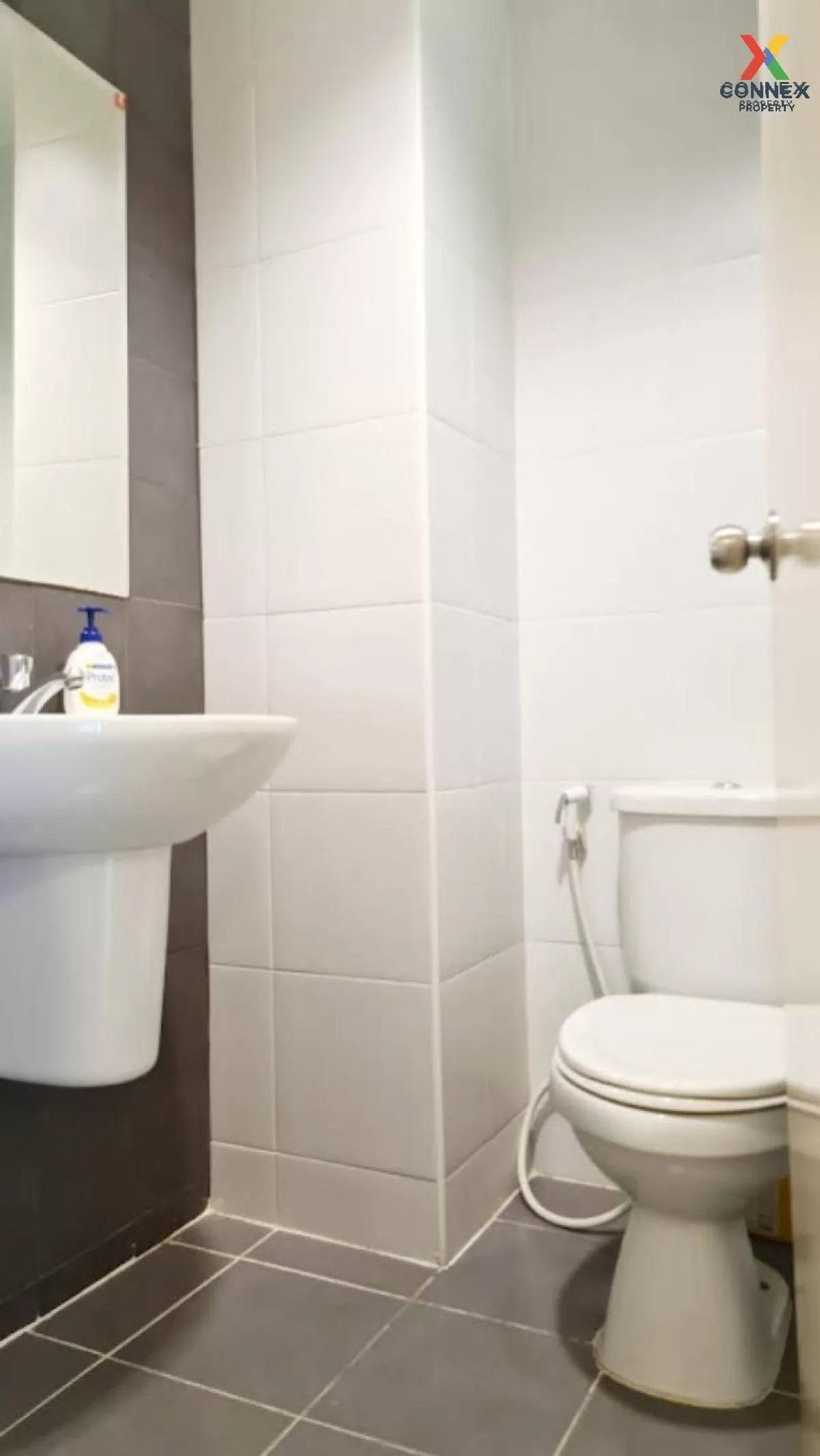 FOR RENT condo , My Condo Sukhumvit 81 , BTS-On Nut , Bang Chak ,