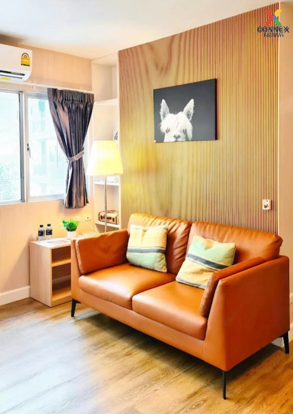 FOR RENT condo , My Condo Sukhumvit 81 , BTS-On Nut , Bang Chak ,