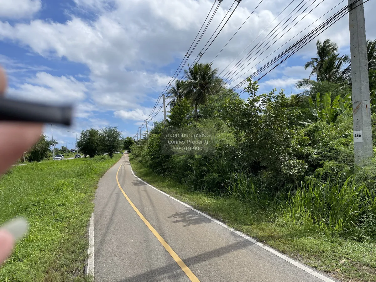 ขายที่ดินติดถนนมอเตอร์เวย์ เพชรเกษมทางไปหัวหิน (ถนนหลักหมายเลข4)  2