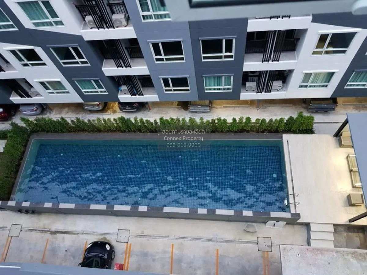 เช่าคอนโด  รีเจ้นท์ โฮม สุขุมวิท 81 BTS-อ่อนนุช สวนหลวง เขต สวนหล