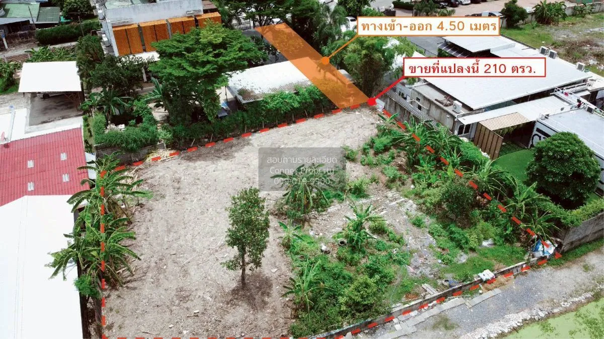 ขายขายที่ดิน ลาดปลาเค้า ประเสริฐมณูกิจ 6 จรเข้บัว เขต ลาดพร้าว กร 3