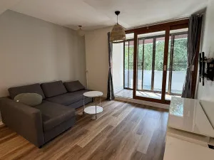 For Rent Condo , Lake Avenue , BTS-Asok , Watthana , Khlong Toei , Bangkok , CX-145767