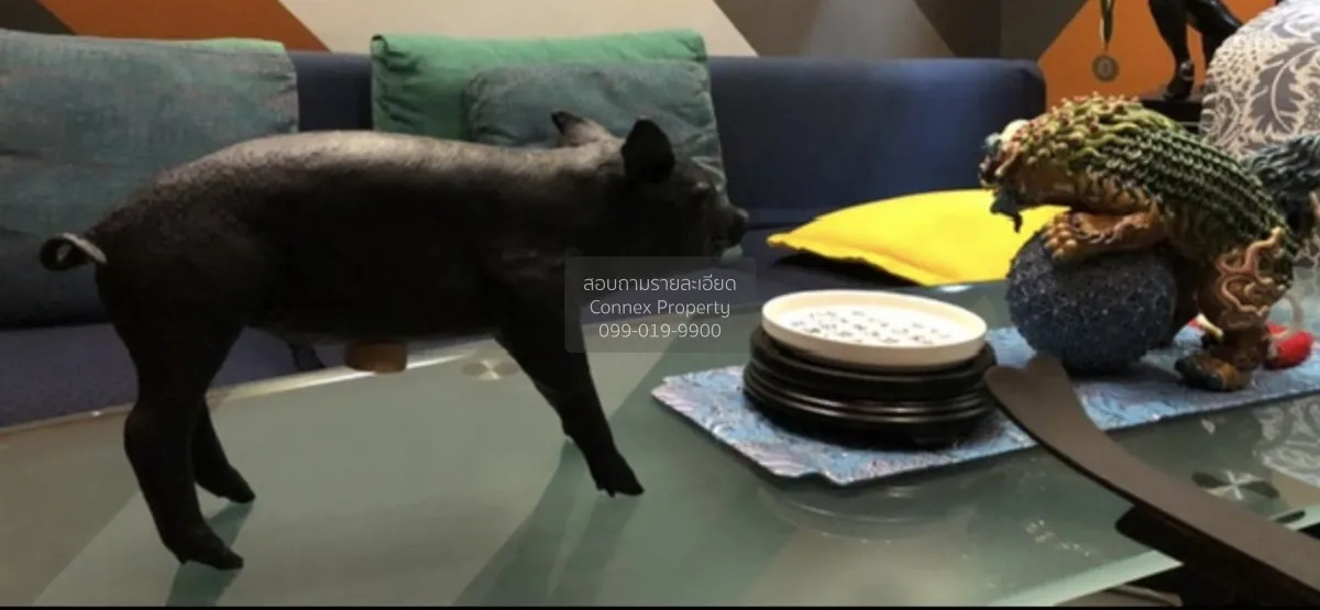 ขายทาวน์เฮ้าส์/ทาวน์โฮม  คริสตัล วิลล์ วิวสวย รีโนเวทใหม่ MRT-ลาด