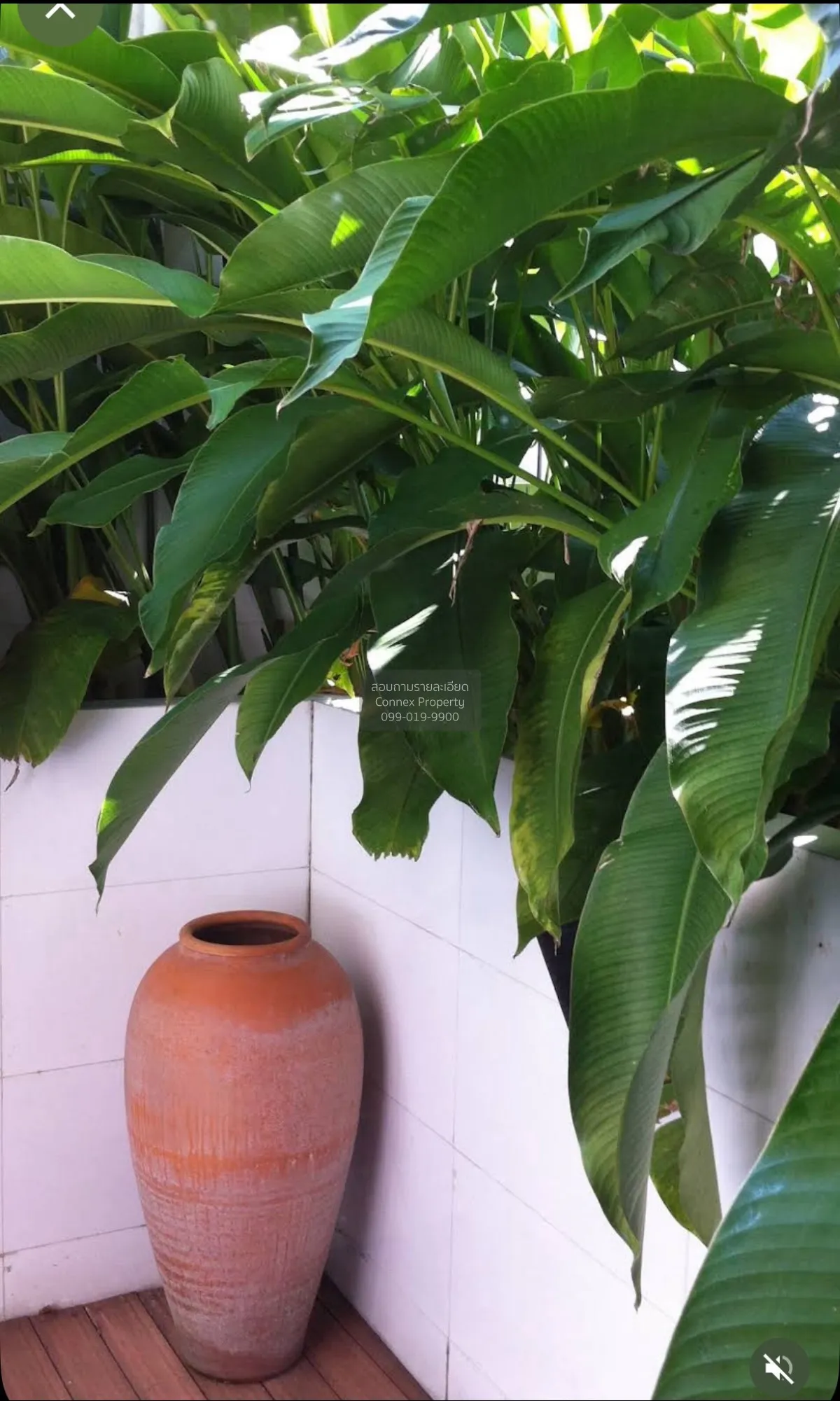 ขายทาวน์เฮ้าส์/ทาวน์โฮม  คริสตัล วิลล์ วิวสวย รีโนเวทใหม่ MRT-ลาด