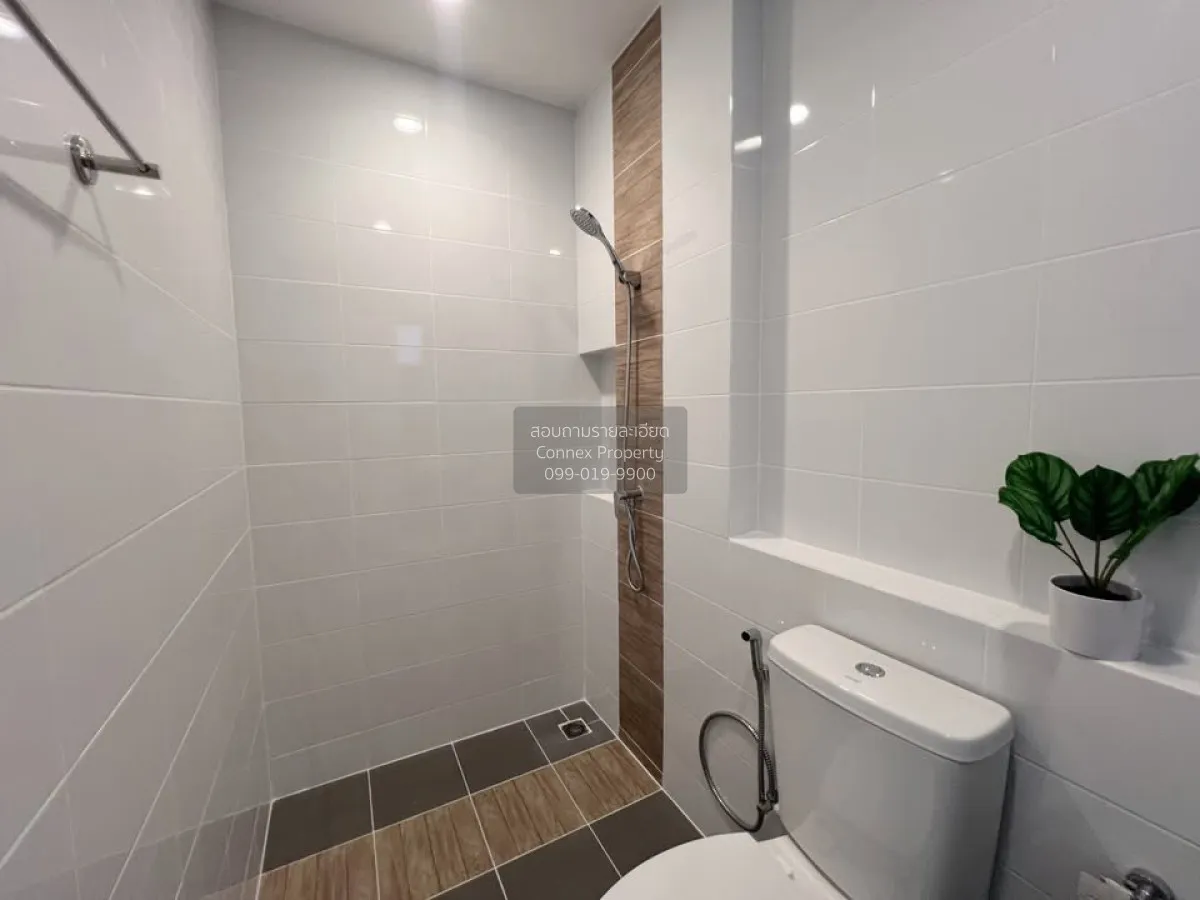 เช่าทาวน์เฮ้าส์/ทาวน์โฮม  พลีโน่ สุขุมวิท - บางนา 2 บางพลี บางพลี 2