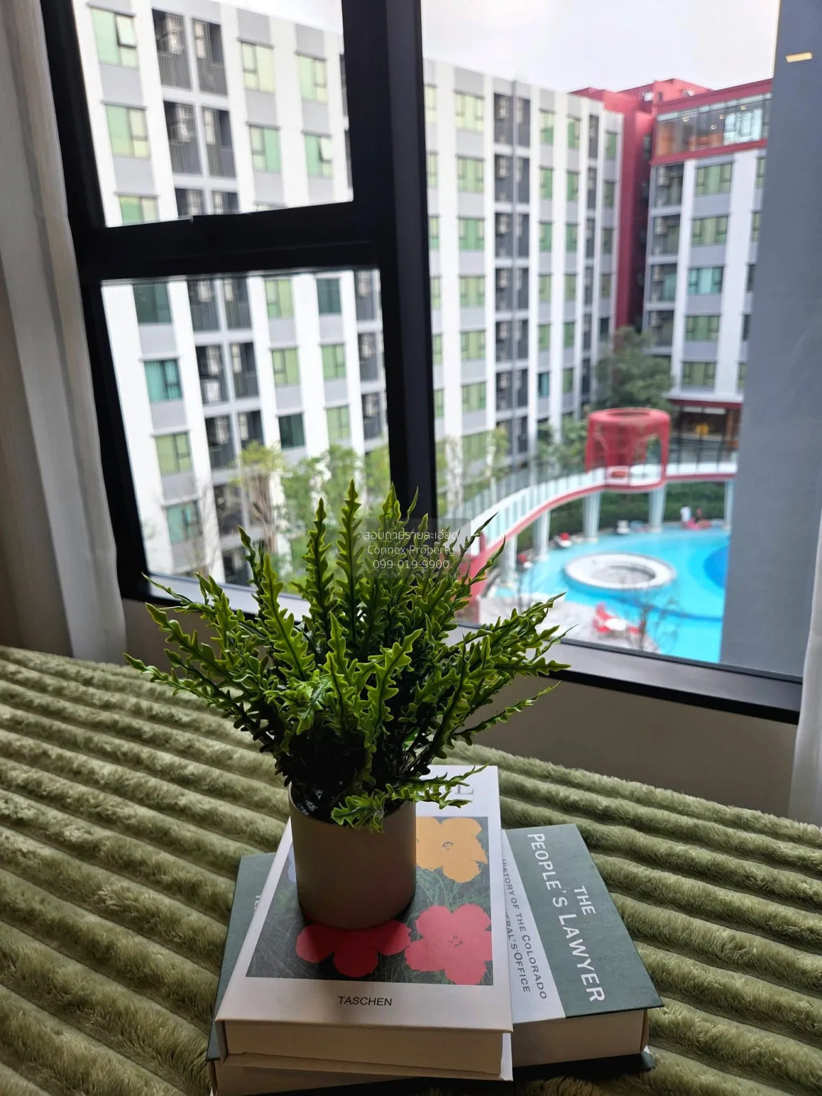 เช่าคอนโด  เคฟ วันเดอร์แลนด์ ห้องมุม คลองหนึ่ง คลองหลวง ปทุมธานี 