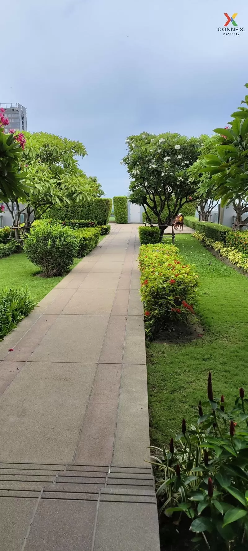 เช่าคอนโด  คิวเฮ้าส์ สุขุมวิท 79 BTS-อ่อนนุช พระโขนง เขต วัฒนา กร