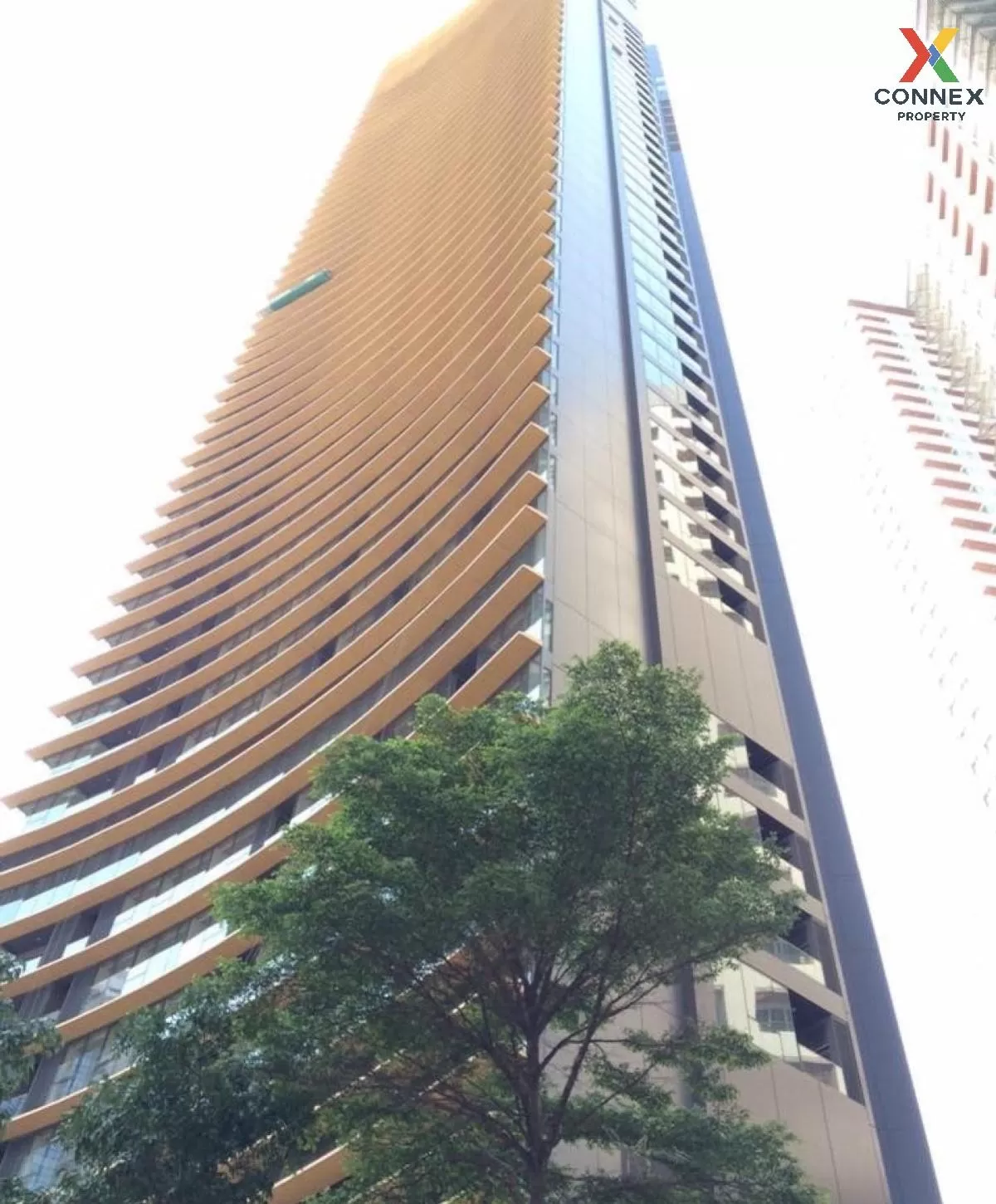 เช่าคอนโด  เดอะ ลุมพินี 24 BTS-พร้อมพงษ์ คลองตัน เขต คลองเตย กรุง