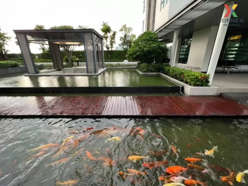 FOR RENT condo , The Room Sukhumvit 62 , BTS-Punnawithi , Bang Ch